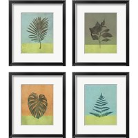 Framed 'Green Botanicals 4 Piece Framed Art Print Set' border=