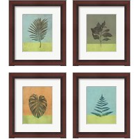 Framed 'Green Botanicals 4 Piece Framed Art Print Set' border=