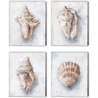 Framed 'White Shell Study 4 Piece Canvas Print Set' border=