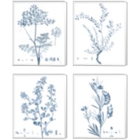 Framed 'Antique Botanical in Blue 4 Piece Canvas Print Set' border=