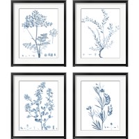 Framed 'Antique Botanical in Blue 4 Piece Framed Art Print Set' border=