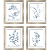 Framed 'Antique Botanical in Blue 4 Piece Framed Art Print Set' border=