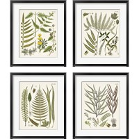 Framed 'Fanciful Ferns 4 Piece Framed Art Print Set' border=