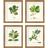 Framed 'Spring Green Foliage 4 Piece Framed Art Print Set' border=