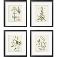 Framed 'Antique Herbs 4 Piece Framed Art Print Set' border=