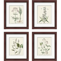 Framed 'Antique Herbs 4 Piece Framed Art Print Set' border=