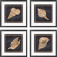 Framed 'Seashell on Navy 4 Piece Framed Art Print Set' border=