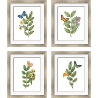 Framed 'Greenery Butterflies 4 Piece Framed Art Print Set' border=