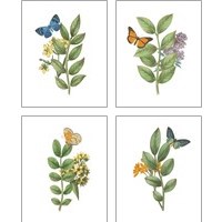 Framed 'Greenery Butterflies 4 Piece Art Print Set' border=
