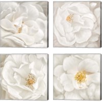 Framed 'Neutral Rose 4 Piece Canvas Print Set' border=