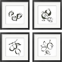 Framed 'Black & White Fruit 4 Piece Framed Art Print Set' border=