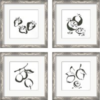 Framed 'Black & White Fruit 4 Piece Framed Art Print Set' border=