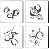 Framed 'Black & White Fruit 4 Piece Canvas Print Set' border=