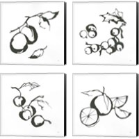 Framed 'Black & White Fruit 4 Piece Canvas Print Set' border=