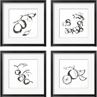 Framed 'Black & White Fruit 4 Piece Framed Art Print Set' border=