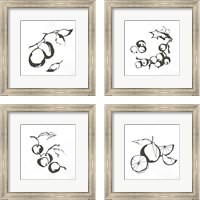 Framed 'Black & White Fruit 4 Piece Framed Art Print Set' border=