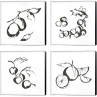 Framed 'Black & White Fruit 4 Piece Canvas Print Set' border=