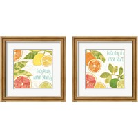 Framed 'Citrus Splash 2 Piece Framed Art Print Set' border=