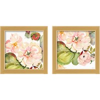 Framed 'Desert Rose 2 Piece Framed Art Print Set' border=