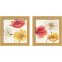 Framed 'Painted Poppies  2 Piece Framed Art Print Set' border=