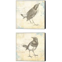 Framed 'Engraved Birds 2 Piece Canvas Print Set' border=