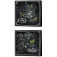 Framed 'Chalkboard Botanical 2 Piece Canvas Print Set' border=