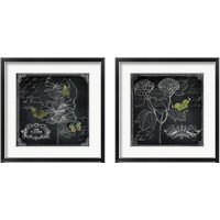 Framed 'Chalkboard Botanical 2 Piece Framed Art Print Set' border=