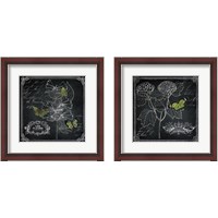 Framed 'Chalkboard Botanical 2 Piece Framed Art Print Set' border=