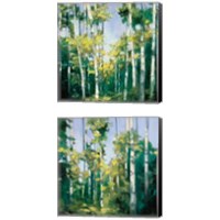 Framed 'Birches 2 Piece Canvas Print Set' border=