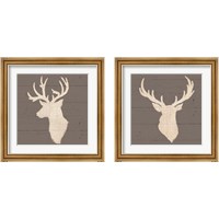 Framed 'Rustic Eleganceon Gray Wood 2 Piece Framed Art Print Set' border=