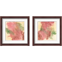 Framed 'Rouge Growth 2 Piece Framed Art Print Set' border=