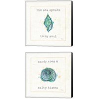 Framed 'Sea Treasures 2 Piece Canvas Print Set' border=