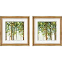 Framed 'Forest Study 2 Piece Framed Art Print Set' border=