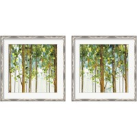 Framed 'Forest Study 2 Piece Framed Art Print Set' border=