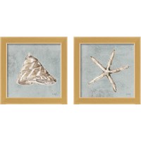 Framed 'Sand and Seashells  2 Piece Framed Art Print Set' border=