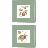 Framed 'Orchard Bloom Border 2 Piece Canvas Print Set' border=