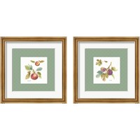 Framed 'Orchard Bloom Border 2 Piece Framed Art Print Set' border=