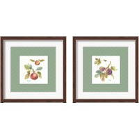 Framed 'Orchard Bloom Border 2 Piece Framed Art Print Set' border=