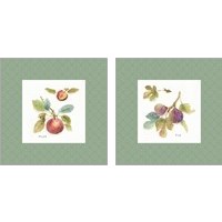 Framed 'Orchard Bloom Border 2 Piece Art Print Set' border=