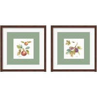 Framed 'Orchard Bloom Border 2 Piece Framed Art Print Set' border=