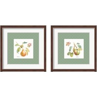 Framed 'Orchard Bloom Border 2 Piece Framed Art Print Set' border=