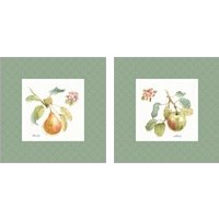 Framed 'Orchard Bloom Border 2 Piece Art Print Set' border=