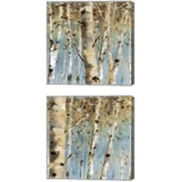 Framed 'White Forest 2 Piece Canvas Print Set' border=