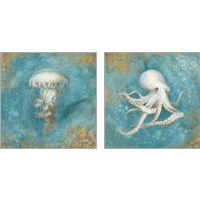 Framed 'Treasures from the Sea 2 Piece Art Print Set' border=