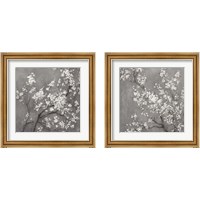 Framed 'White Cherry Blossoms on Grey 2 Piece Framed Art Print Set' border=