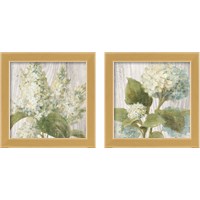 Framed 'Scented Cottage Florals 2 Piece Framed Art Print Set' border=