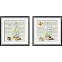 Framed 'Succulent Garden 2 Piece Framed Art Print Set' border=