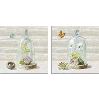 Framed 'Succulent Garden 2 Piece Art Print Set' border=