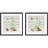 Framed 'Succulent Garden 2 Piece Framed Art Print Set' border=