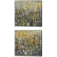Framed 'Rain Abstract 2 Piece Canvas Print Set' border=